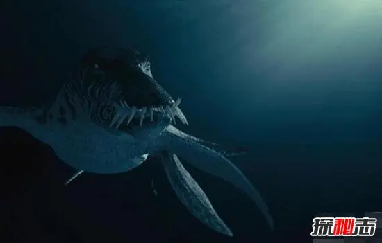 最恐怖的海洋生物滑齿龙