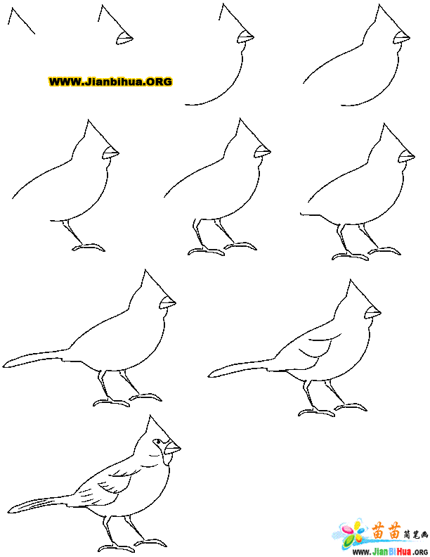 如何画小鸟简笔画图片教程