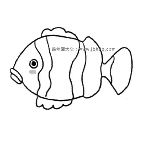 海洋生物 小丑鱼