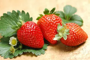 谣言：吃草莓致癌